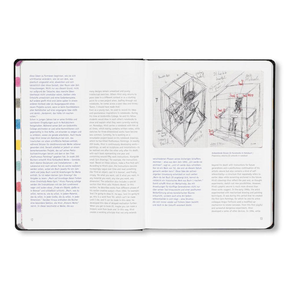 DAMIEN HIRST - DRAWINGS .