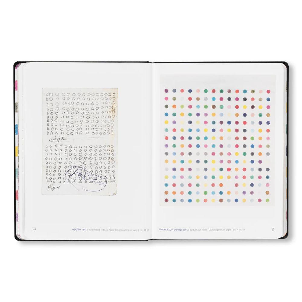 DAMIEN HIRST - DRAWINGS .