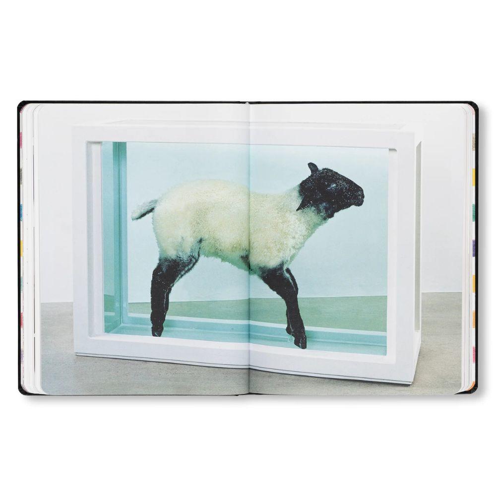 DAMIEN HIRST - DRAWINGS .