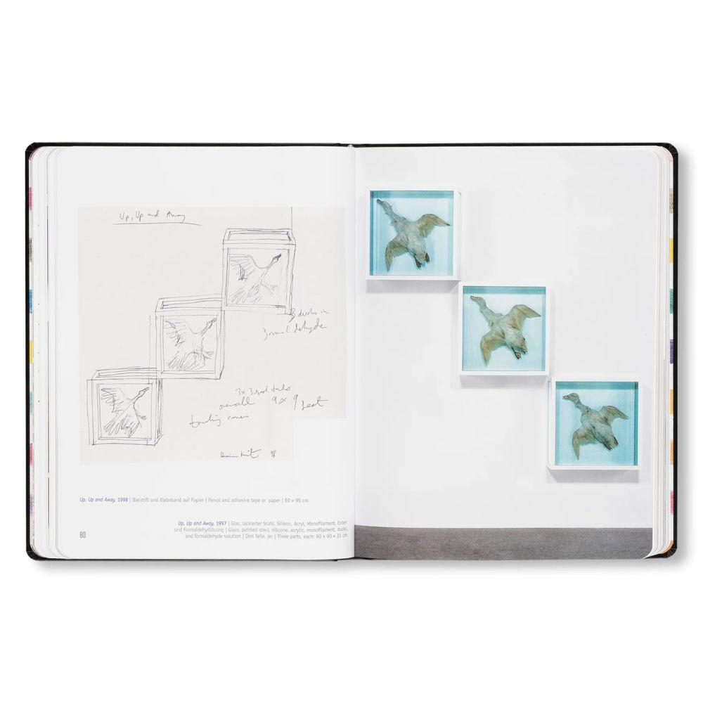 DAMIEN HIRST - DRAWINGS .