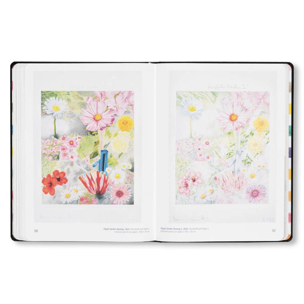 DAMIEN HIRST - DRAWINGS .
