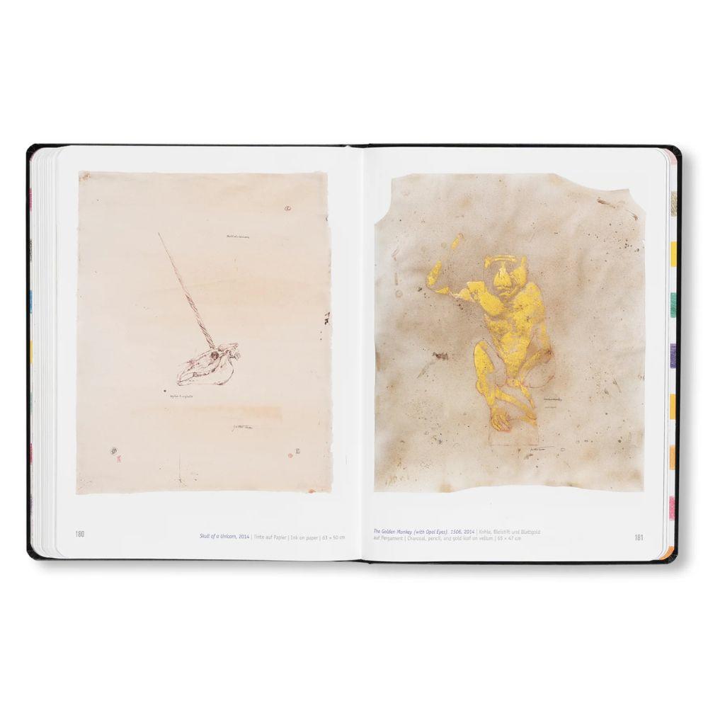 DAMIEN HIRST - DRAWINGS .