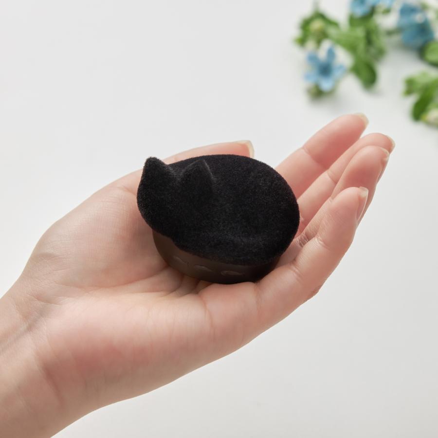 radius（ラディウス)ふわふわフロッキーver NEKO完全ワイヤレスイヤホン  まっくろ　
