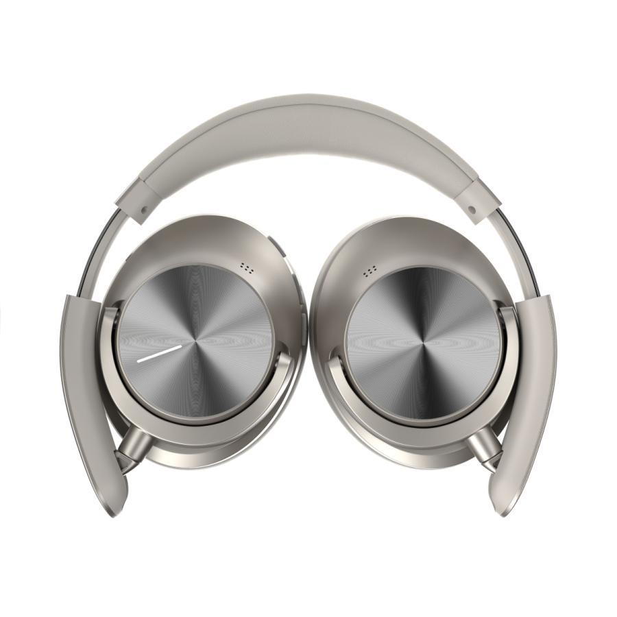 Noise Master Buds Max（ヘッドホン）Titanium