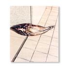 【初版700部／サイン入り】TOKYO FISHGRAPHS I...　人気商品