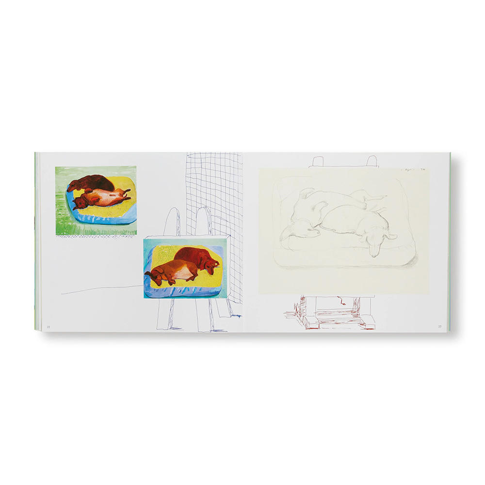 DAVID HOCKNEY'S DOG DAYS(P)