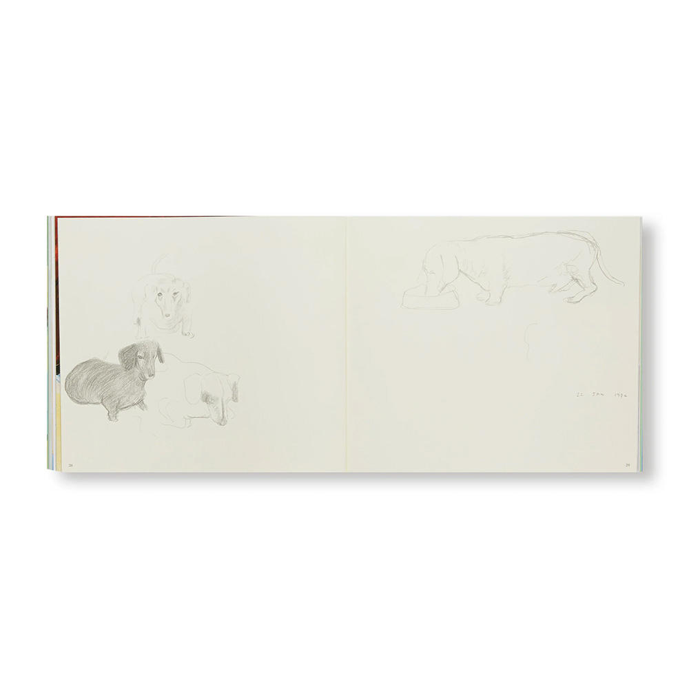 DAVID HOCKNEY'S DOG DAYS(P)