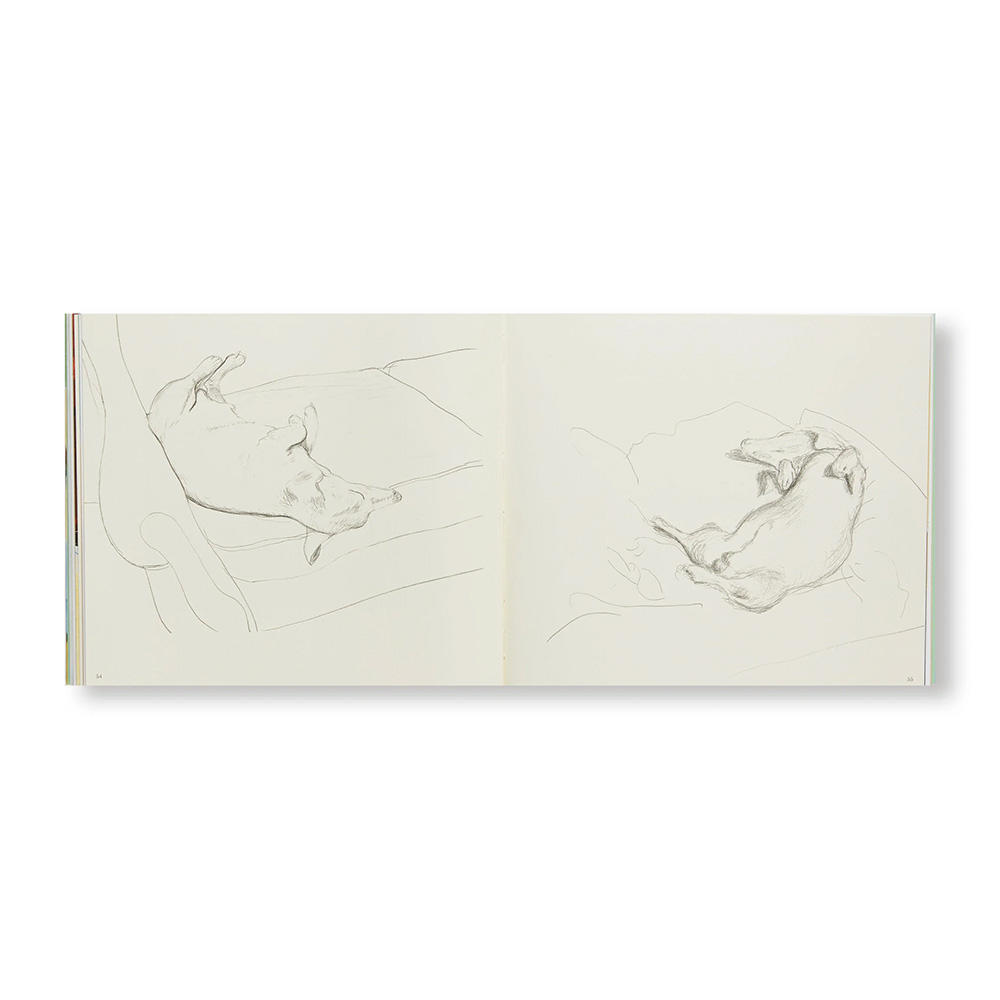 DAVID HOCKNEY'S DOG DAYS(P)