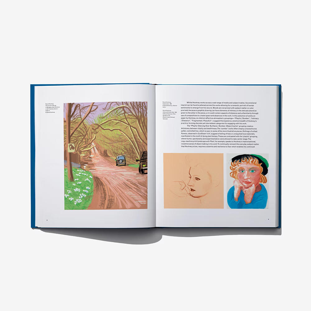 DAVID HOCKNEY:PAPER TRAILS デイヴィッド・ホックニー 作品集