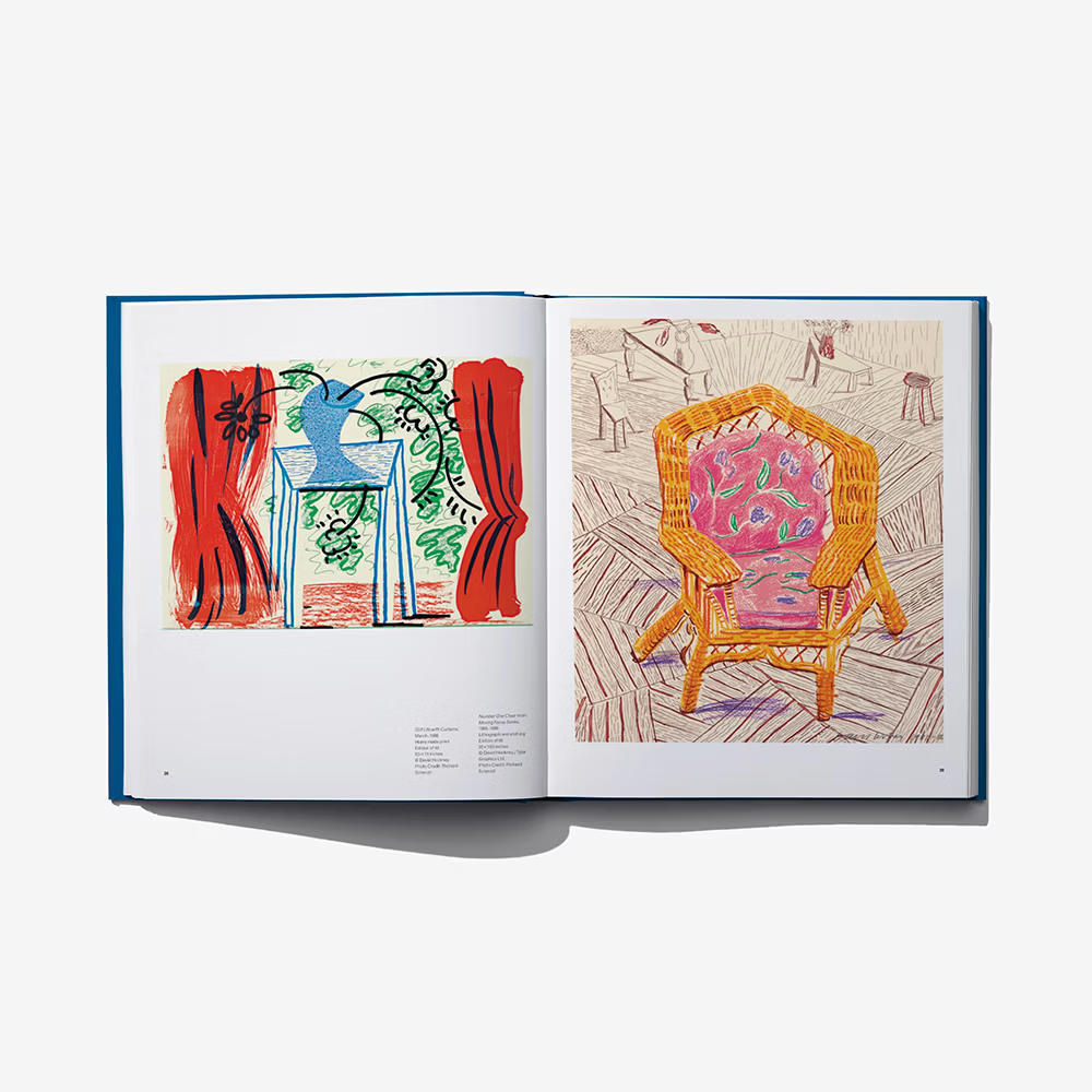 DAVID HOCKNEY:PAPER TRAILS デイヴィッド・ホックニー 作品集