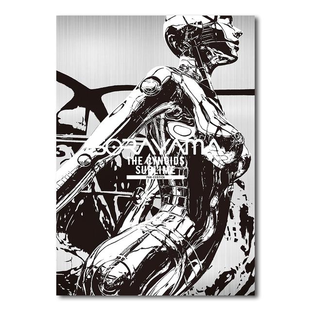 SORAYAMA THE GYNOIDS SUBLIME　空山基作品集
