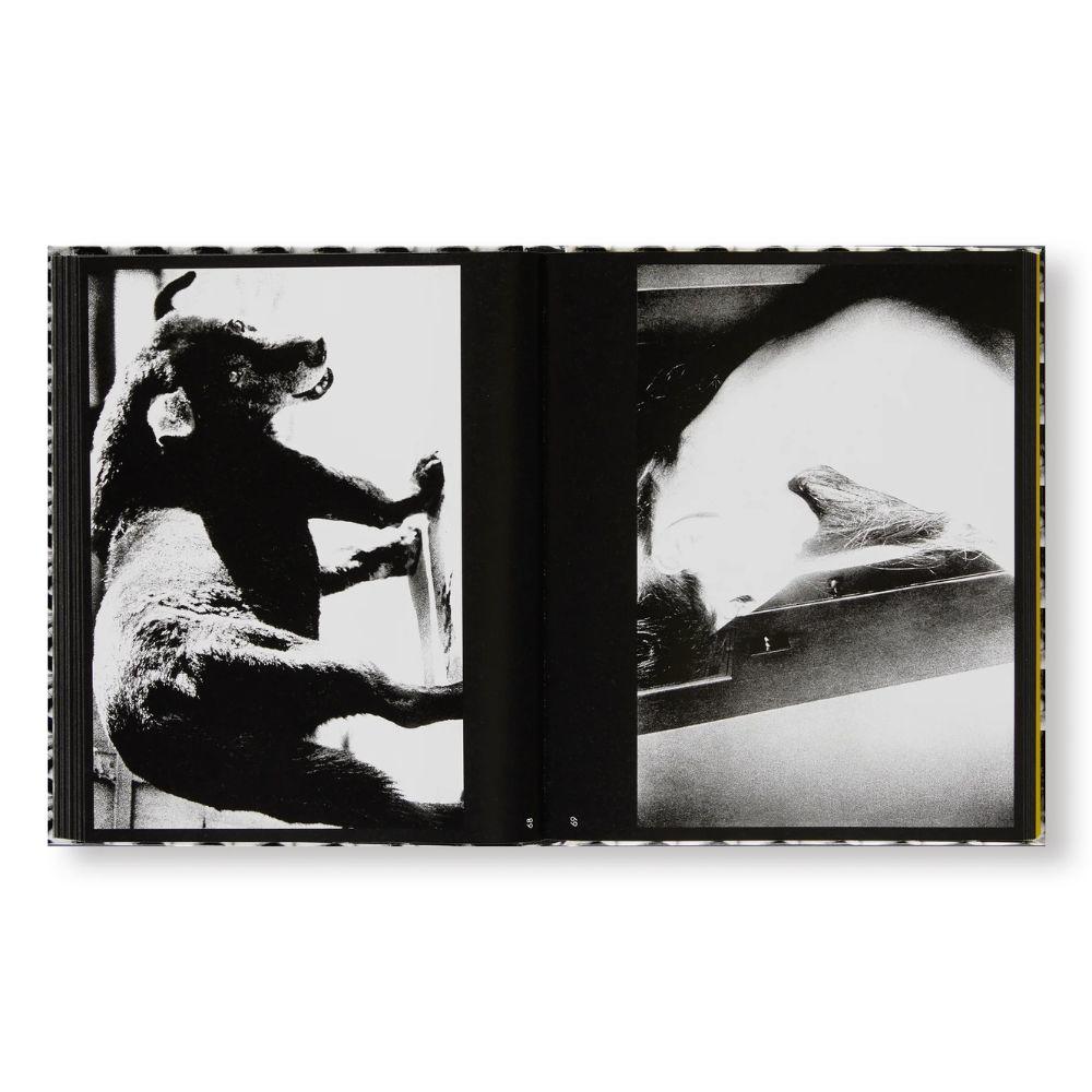 A RETROSPECTIVE by Daido Moriyama