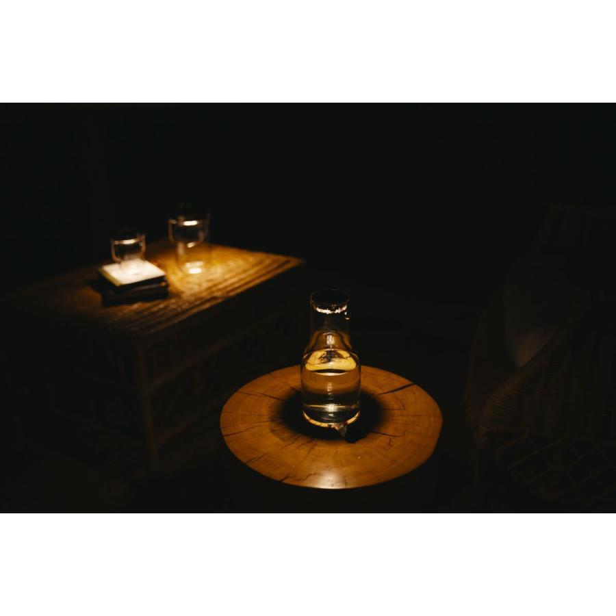 【先行販売】ソネングラス SONNENGLAS Light Carafe C2（SOMOソーラーライトセット）