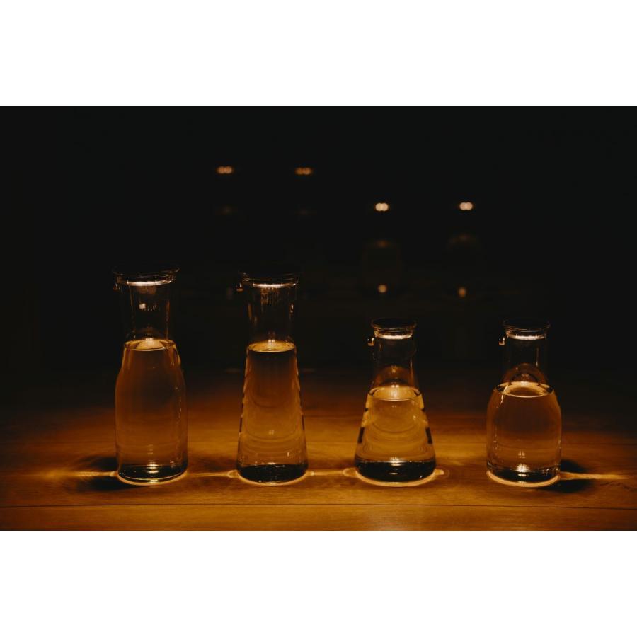 【先行販売】ソネングラス SONNENGLAS Light Carafe C2（SOMOソーラーライトセット）