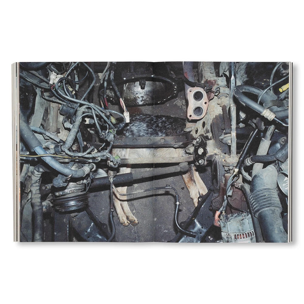 【3000部限定】FAILING by Mike Brodie（マイク・ブロディー） 写真集