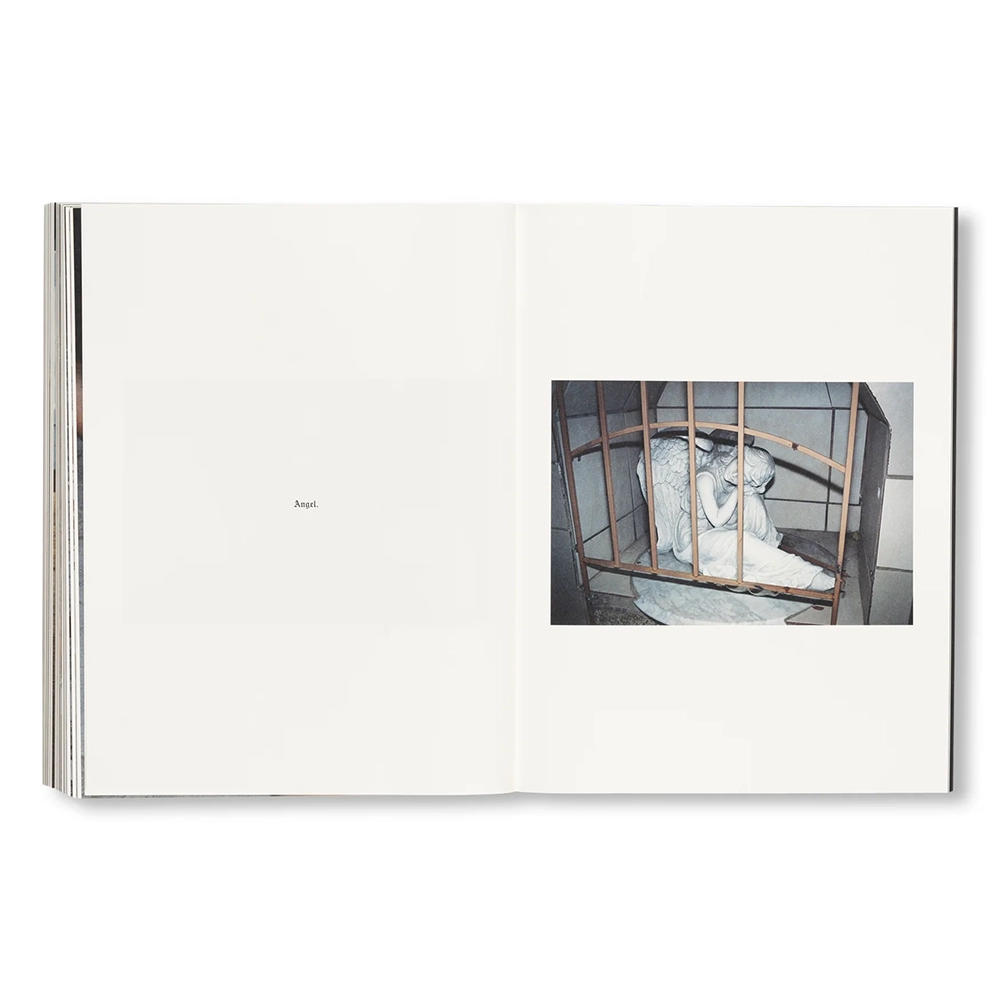 【3000部限定】FAILING by Mike Brodie（マイク・ブロディー） 写真集