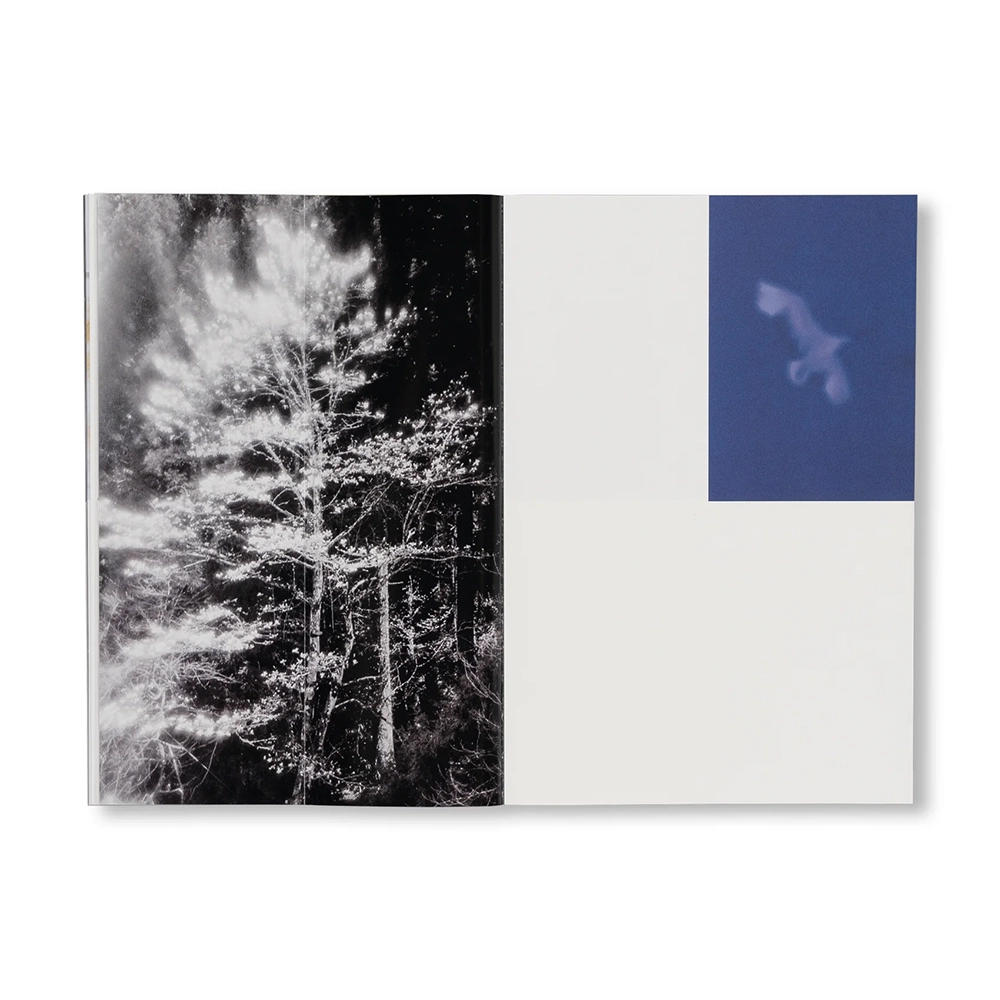 [SPECIAL EDITION] SEQUENCES by Yuichiro Noda（野田祐一郎） 作品集