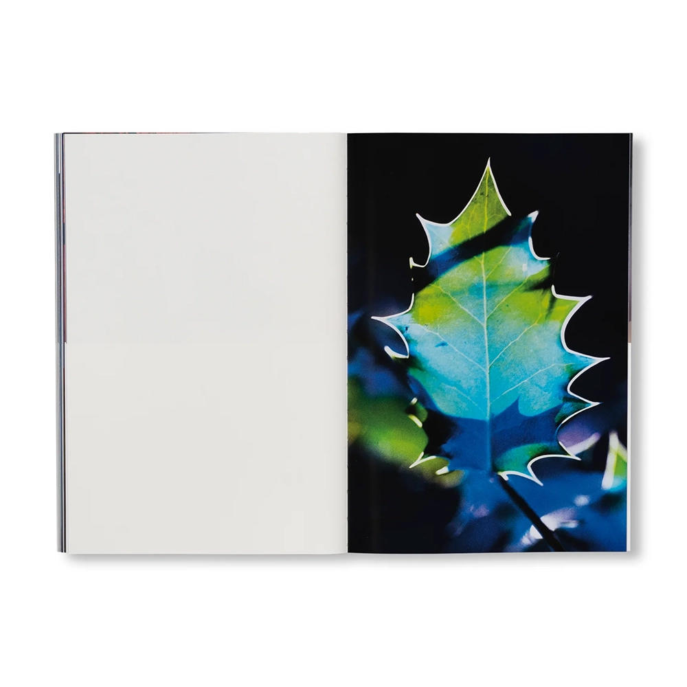 [SPECIAL EDITION] SEQUENCES by Yuichiro Noda（野田祐一郎） 作品集