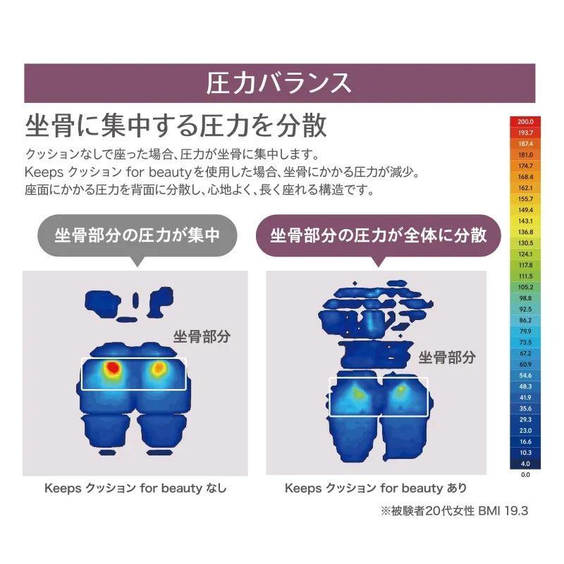西川 Keepsクッション forbeauty グレー