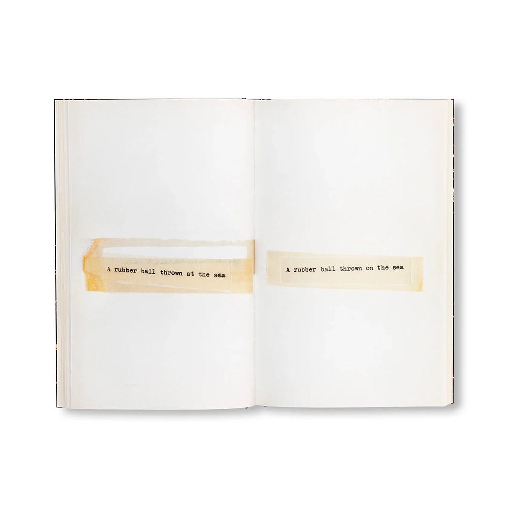 TERMINAL BOUNDARIES AND A NATURAL WATER COURSE DIVERTED REDUCED OR DISPLACED by Lawrence Weiner（ローレンス・ウェイナー） 作品集