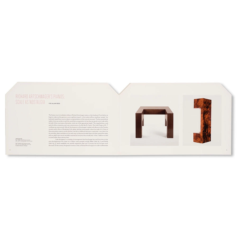 RICHARD ARTSCHWAGER (2012) by Richard Artschwager（リチャード・アーシュワーガー） 作品集