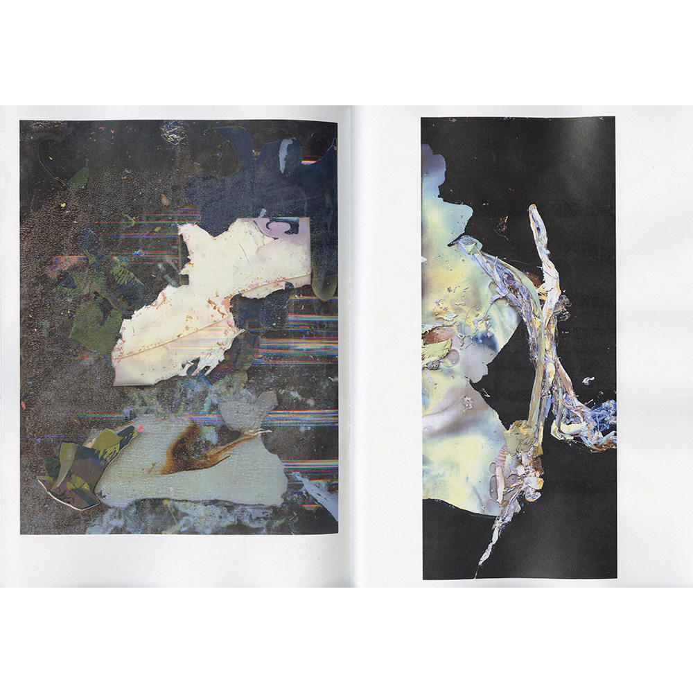 【サイン入り】photographs/Anatomy 横田大輔 写真集