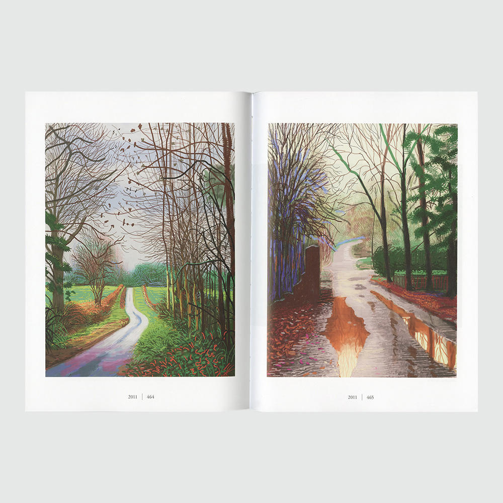 David Hockney 作品集 David Hockney. A Chronology. 45th Ed.（デイヴィッド・ホックニー