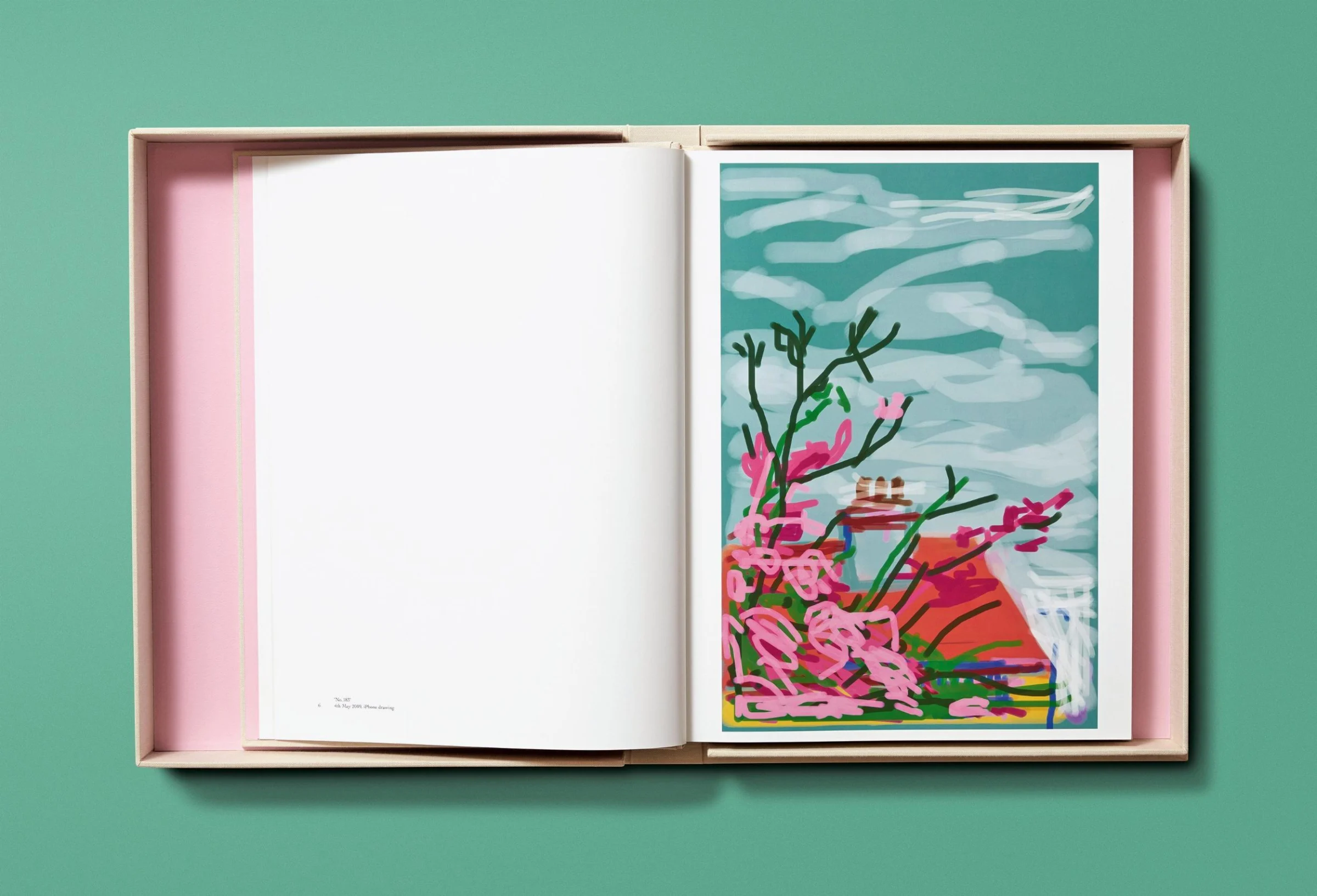 David Hockney. My Window BABY SUMO（デイヴィッド・ホックニー）作品集
