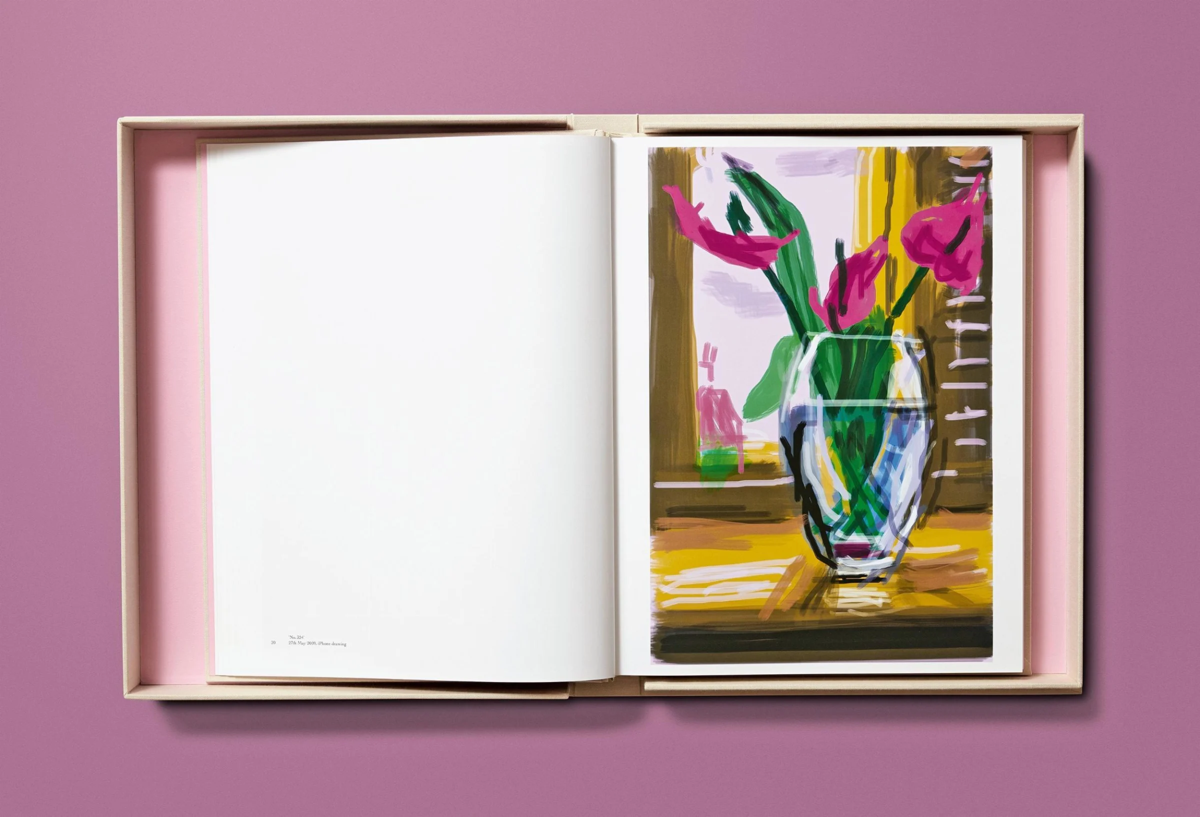 David Hockney. My Window BABY SUMO（デイヴィッド・ホックニー）作品集