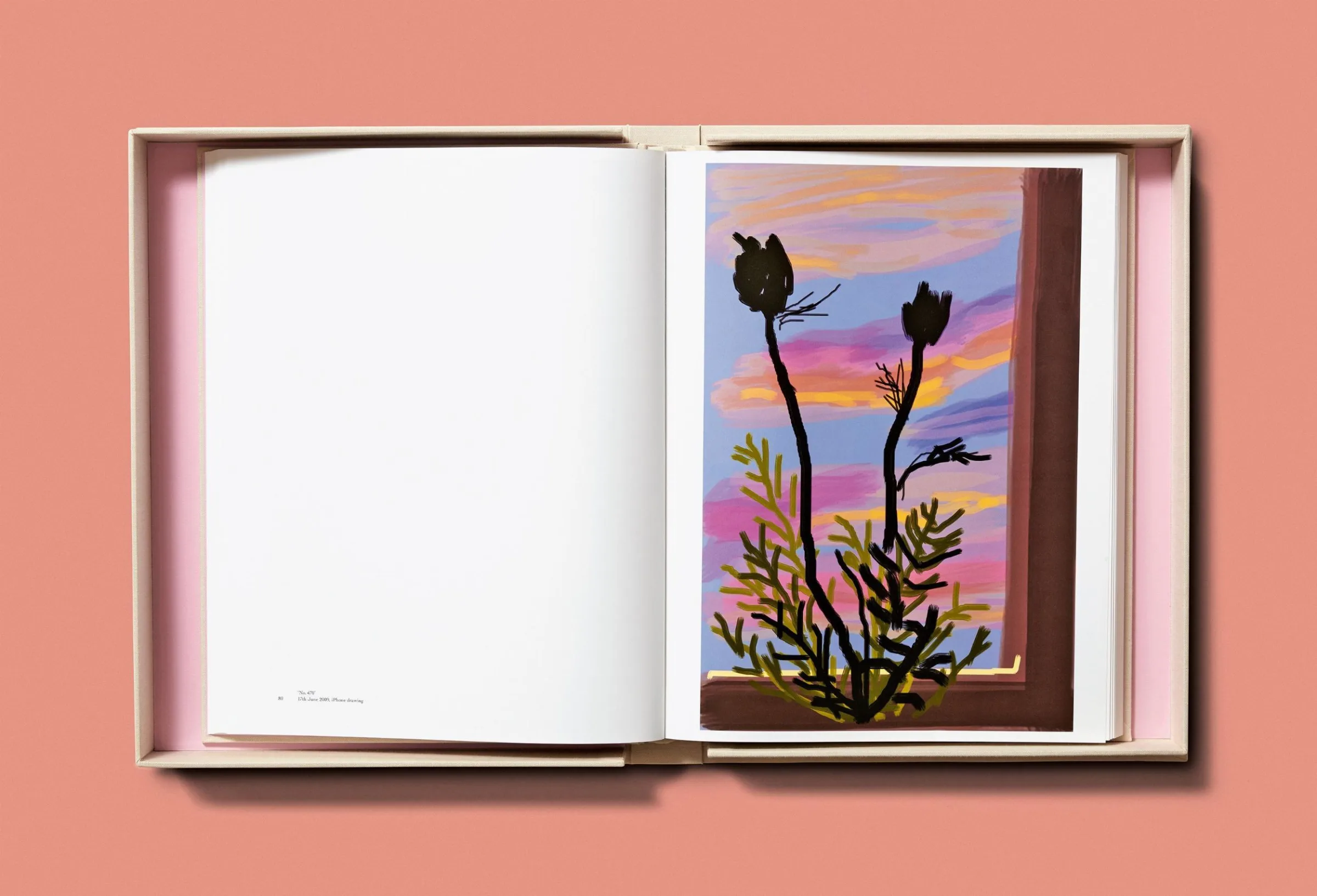 David Hockney. My Window BABY SUMO（デイヴィッド・ホックニー）作品集