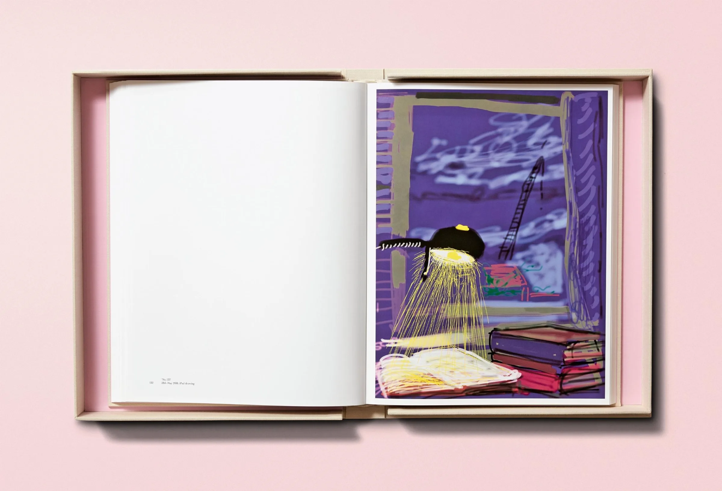 David Hockney. My Window BABY SUMO（デイヴィッド・ホックニー）作品集