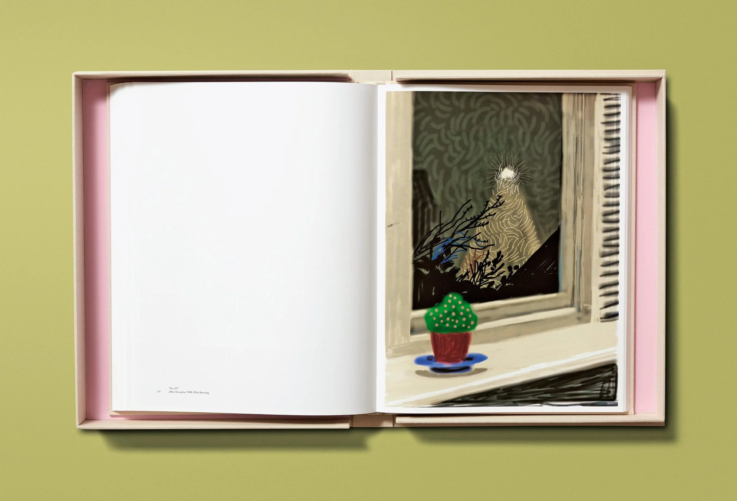 David Hockney. My Window BABY SUMO（デイヴィッド・ホックニー）作品集