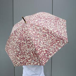 イイダ傘店 晴雨兼用傘 コショウ