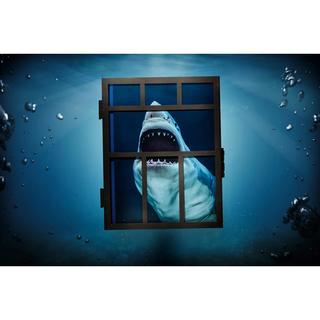 【Collector’s Edition】Michael Muller. Sharks (マイケル・ミュラー) 写真集 ※ご注文より1週間～10日程度で発送予定