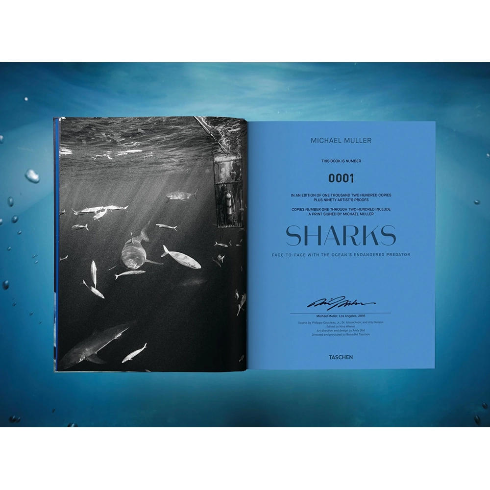 【Collector’s Edition】Michael Muller. Sharks (マイケル・ミュラー) 写真集 ※ご注文より1週間～10日程度で発送予定