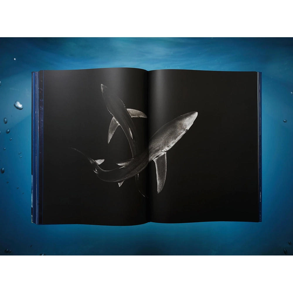 【Collector’s Edition】Michael Muller. Sharks (マイケル・ミュラー) 写真集 ※ご注文より1週間～10日程度で発送予定