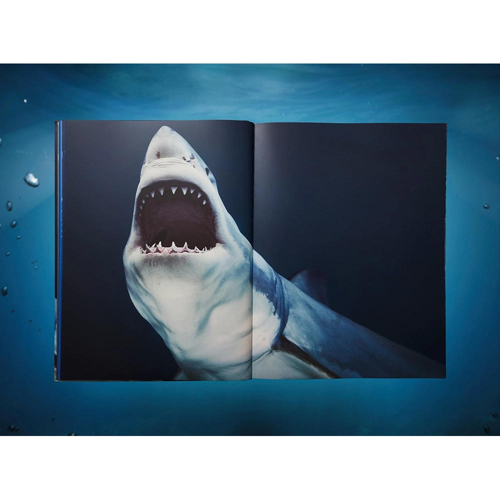 【Collector’s Edition】Michael Muller. Sharks (マイケル・ミュラー) 写真集 ※ご注文より1週間～10日程度で発送予定
