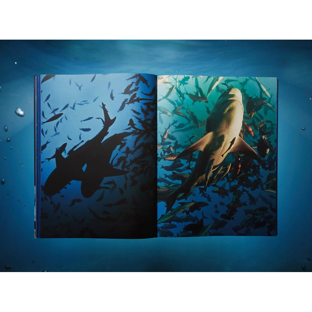 【Collector’s Edition】Michael Muller. Sharks (マイケル・ミュラー) 写真集 ※ご注文より1週間～10日程度で発送予定
