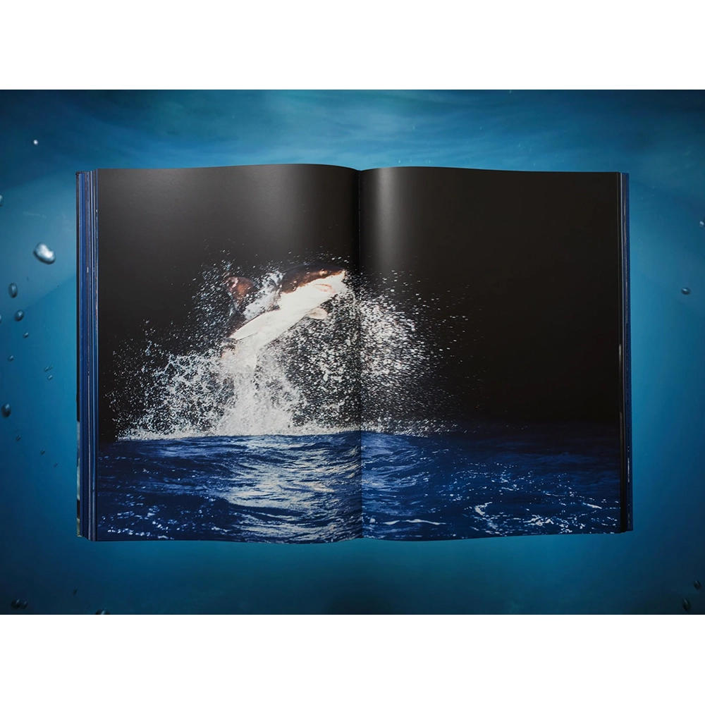 【Collector’s Edition】Michael Muller. Sharks (マイケル・ミュラー) 写真集 ※ご注文より1週間～10日程度で発送予定