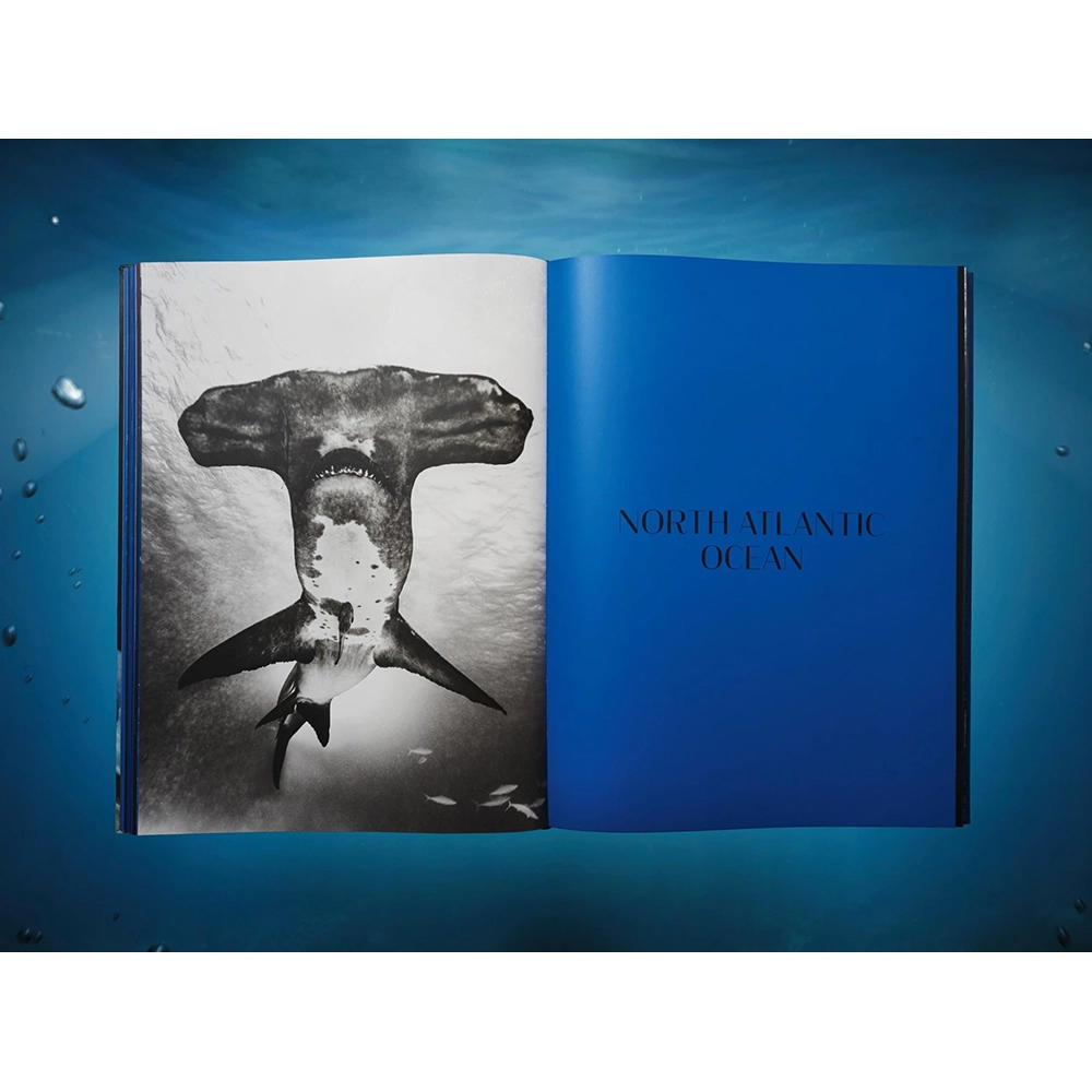【Collector’s Edition】Michael Muller. Sharks (マイケル・ミュラー) 写真集 ※ご注文より1週間～10日程度で発送予定