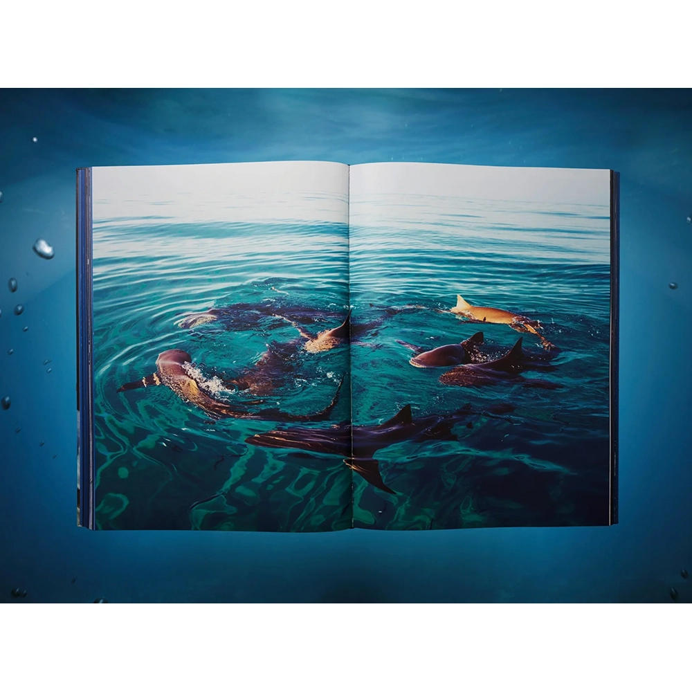 【Collector’s Edition】Michael Muller. Sharks (マイケル・ミュラー) 写真集 ※ご注文より1週間～10日程度で発送予定