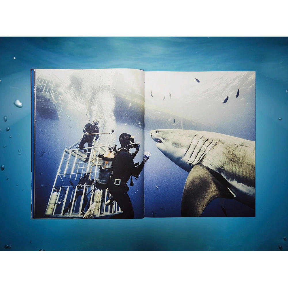 【Collector’s Edition】Michael Muller. Sharks (マイケル・ミュラー) 写真集 ※ご注文より1週間～10日程度で発送予定