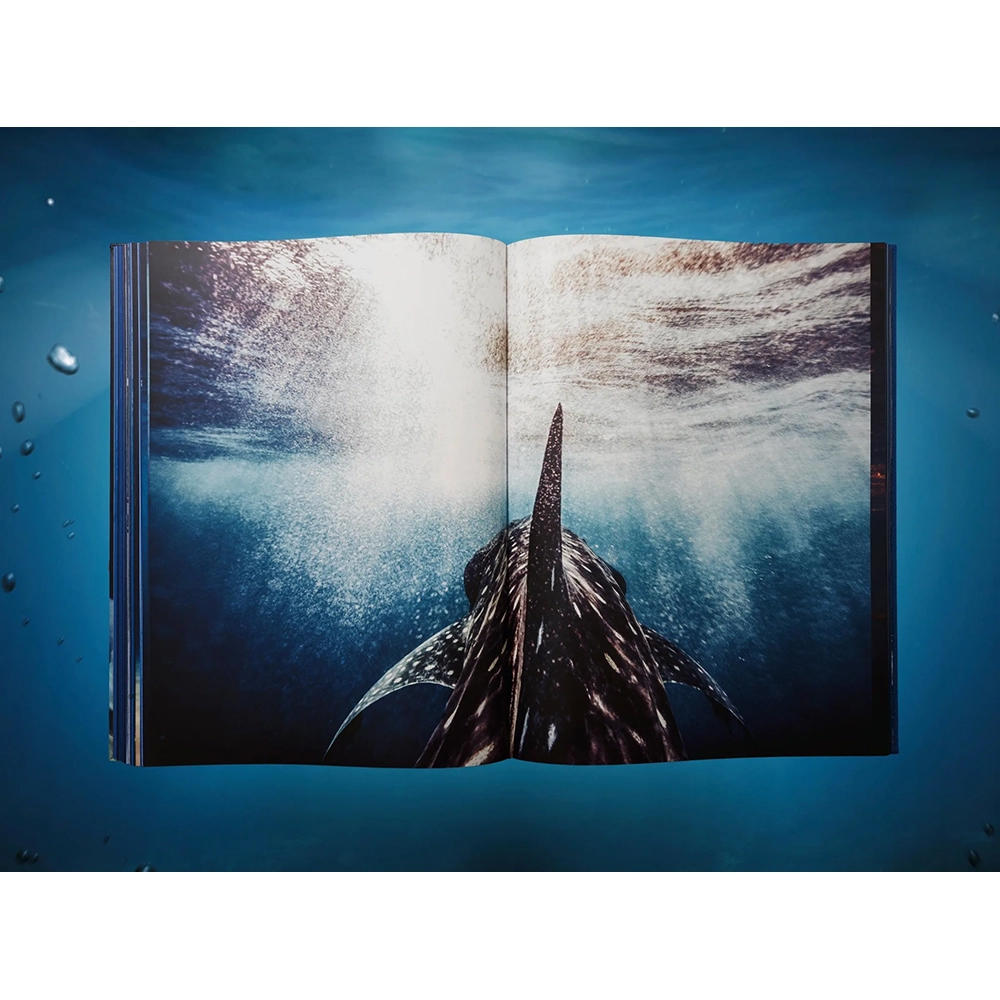 【Collector’s Edition】Michael Muller. Sharks (マイケル・ミュラー) 写真集 ※ご注文より1週間～10日程度で発送予定
