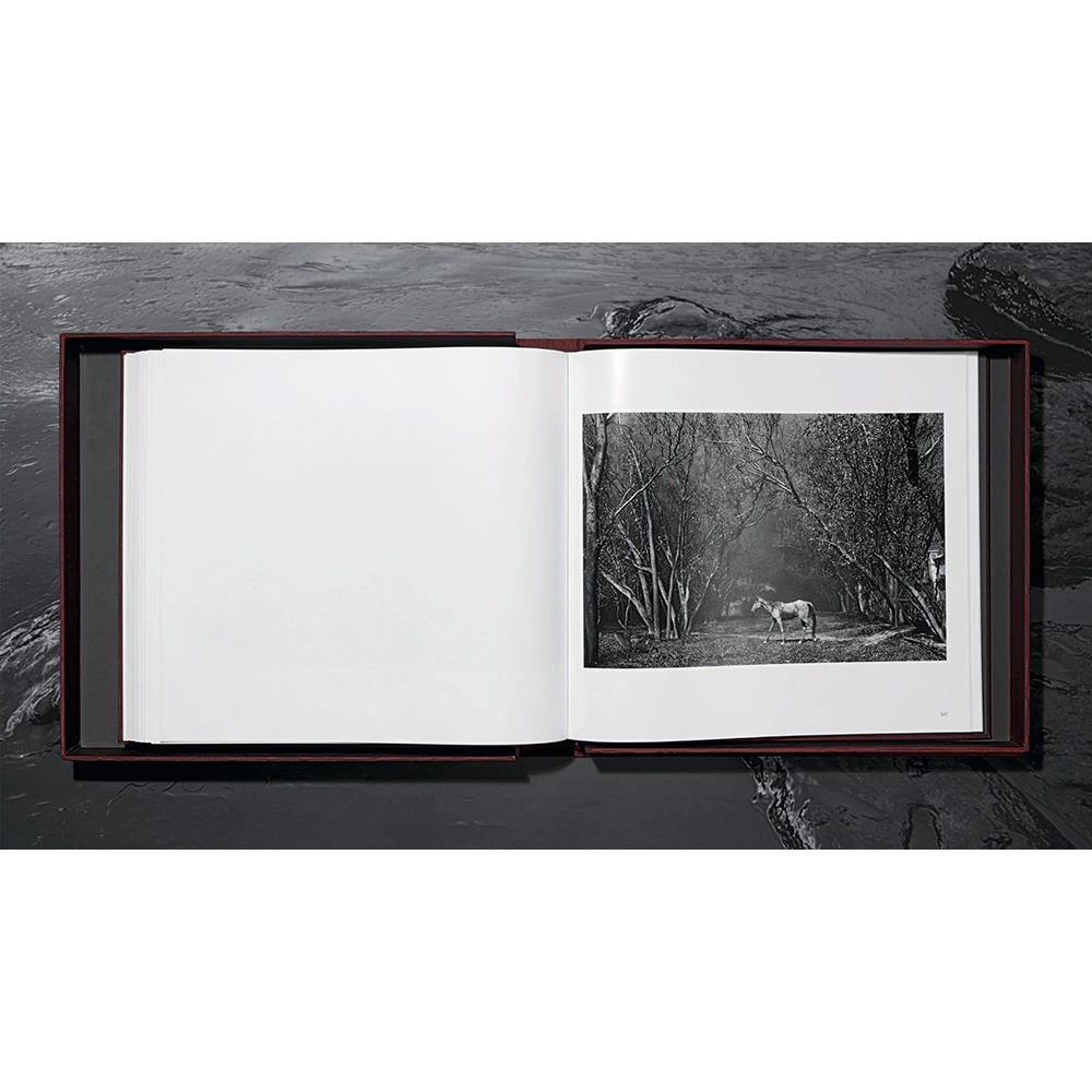 【Collector’s Edition】Sebastião Salgado. Kuwait. A Desert on Fire  (セバスチャン・サルガド) 写真集 ※ご注文より1週間～10日程度で発送予定