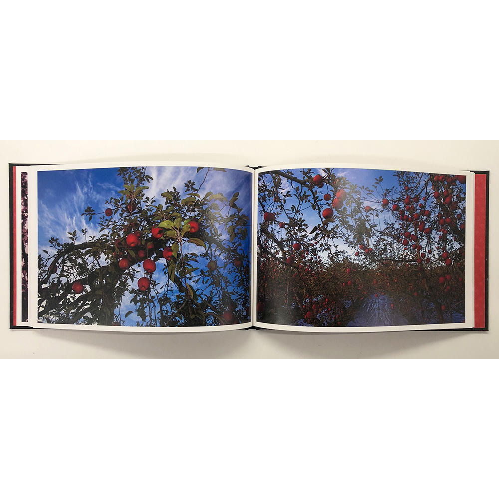 【限定650部／サイン入り】ノクターン 野村佐紀子 写真集