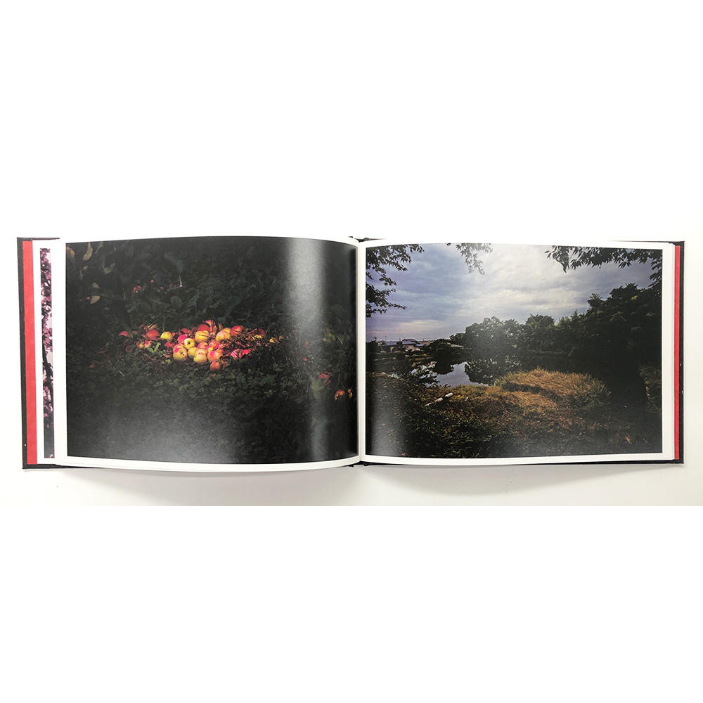 【限定650部／サイン入り】ノクターン 野村佐紀子 写真集
