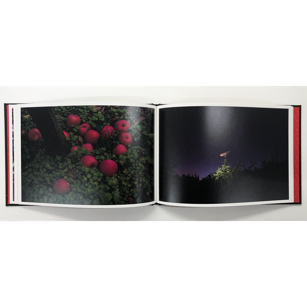 【限定650部／サイン入り】ノクターン 野村佐紀子 写真集