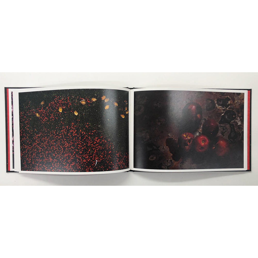 【限定650部／サイン入り】ノクターン 野村佐紀子 写真集