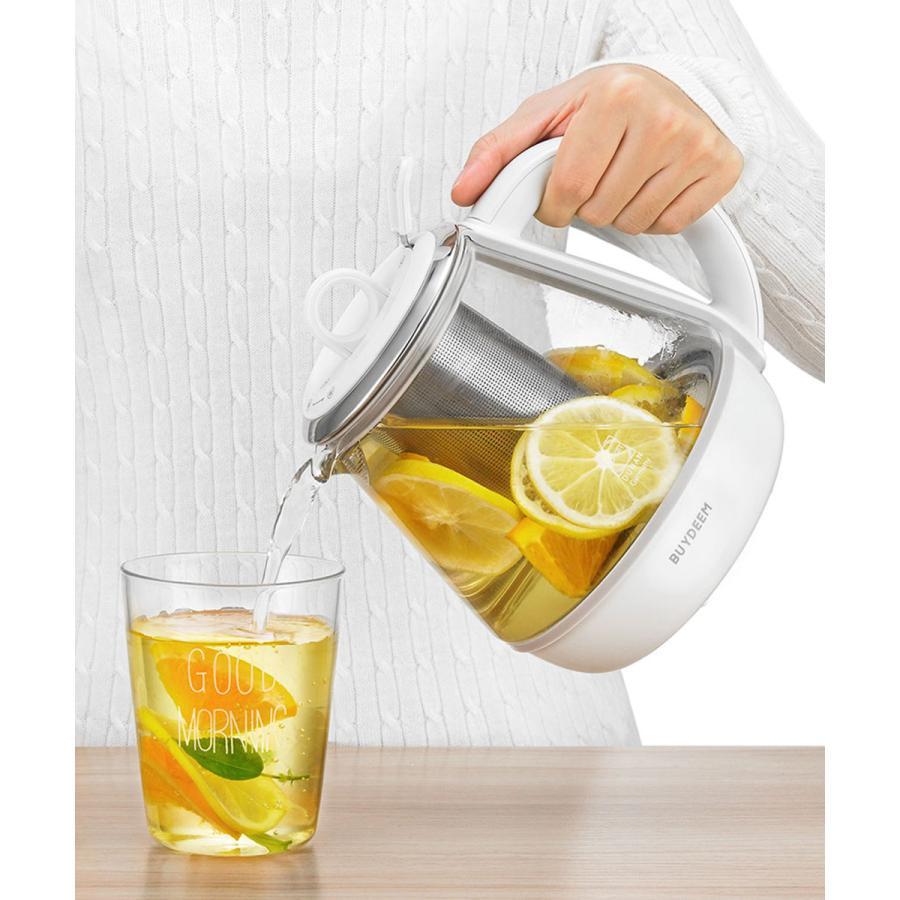 【数量限定特典あり】BUYDEEM（バイディーム）薬膳ティーポット1.0L