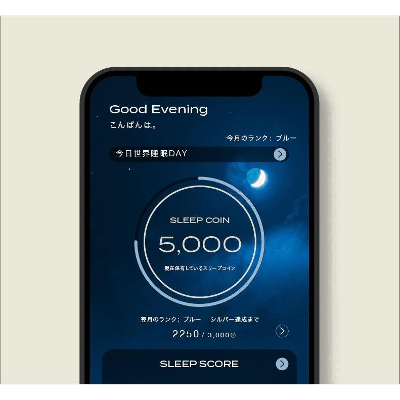 BRAIN SLEEP(ブレインスリープ) コイン グレー -の商品詳細 | 蔦屋書店